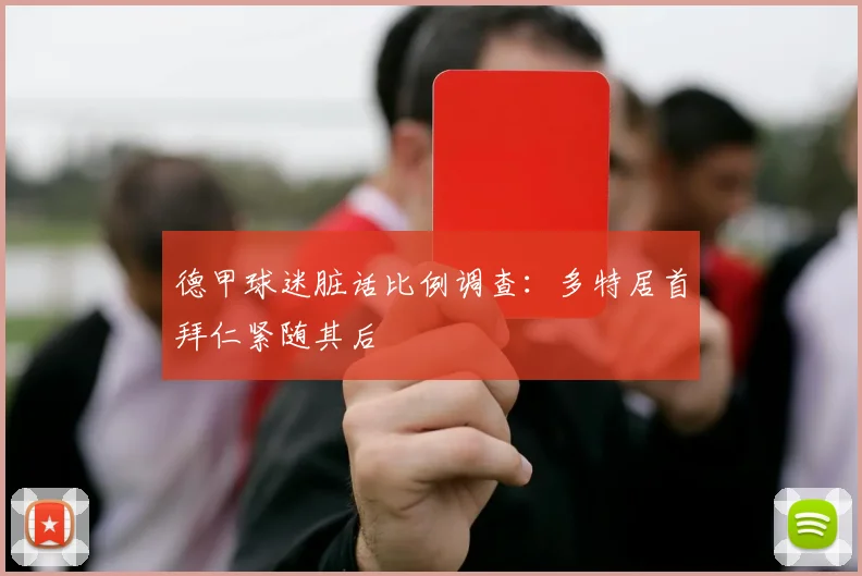 德甲球迷脏话比例调查：多特居首拜仁紧随其后